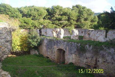 atarat_mohamad@hotmail.com